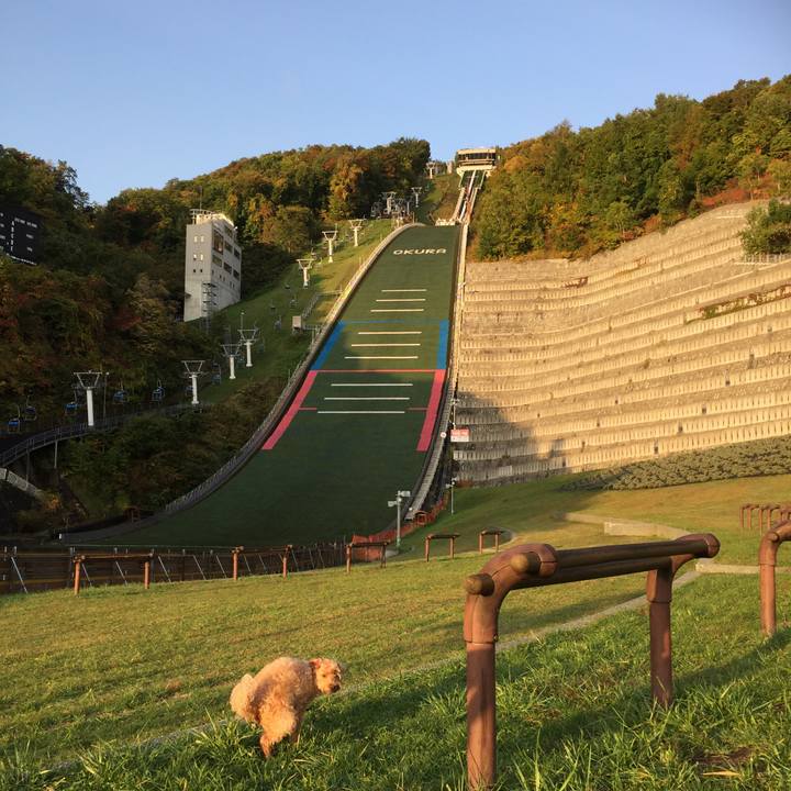 04b0e26c b6b5 4776 a4d2 de56ed6b90b2