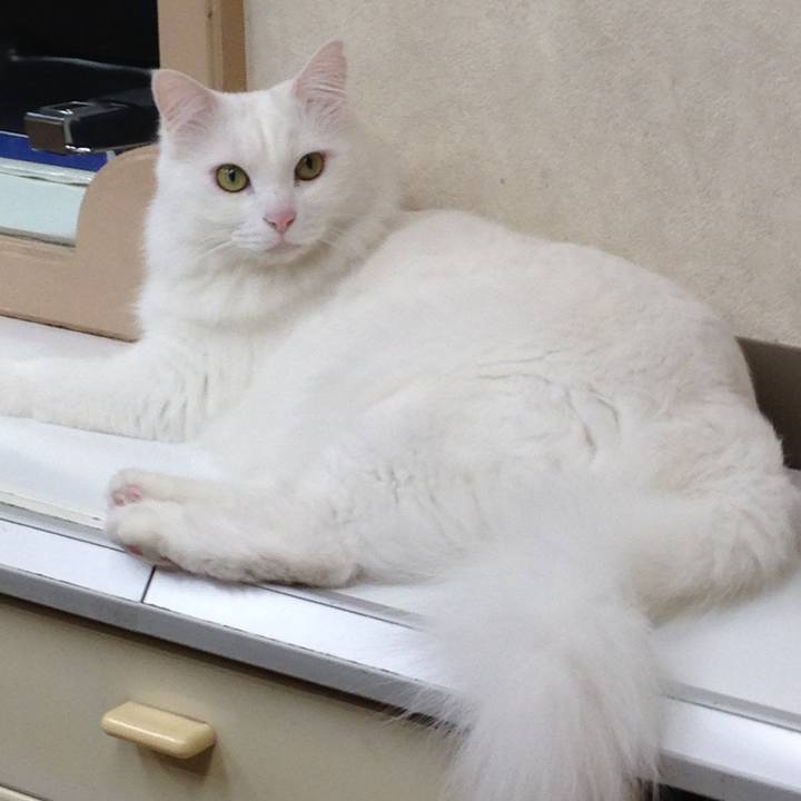 04b1422d b82f 492d a50d e58cd67bba46