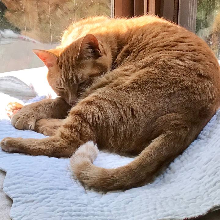 04b19218 ec0e 4a26 a159 b3714cccd5f5