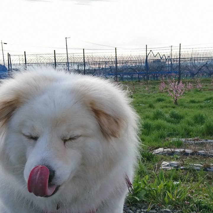 04b1a143 6abd 49f6 ad76 09e2053b9cc5