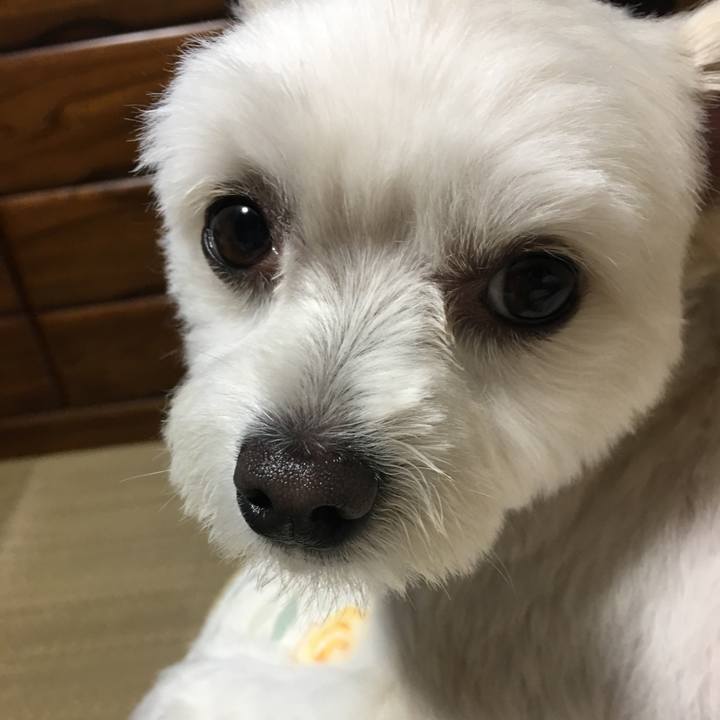 04b1ceb1 1518 493e bebb 24a0912b57b1