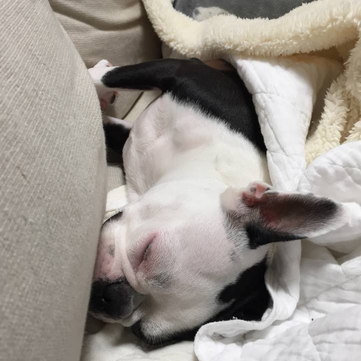 04b21384 d906 4c3e 9aae ad3d856c8bf9