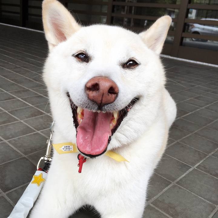 04b22db3 164f 4adb 8c8b ae5a97d21131