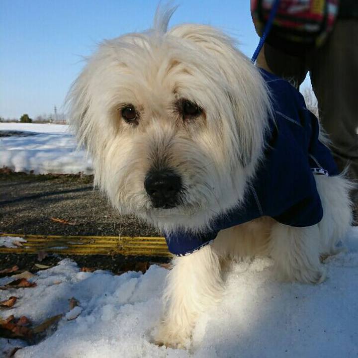 04b2a99a d573 4f65 a5cc 9c4c1fe56e42