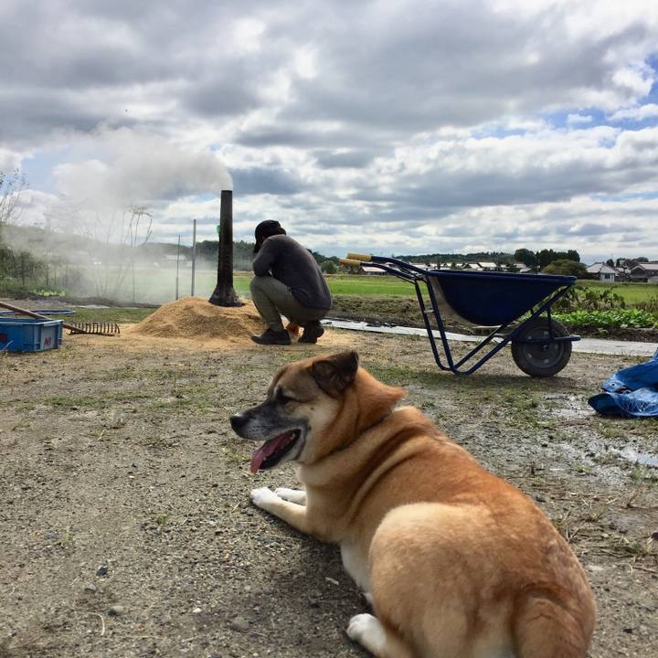 04b2ef92 64da 4747 83a1 19259ccd73a3