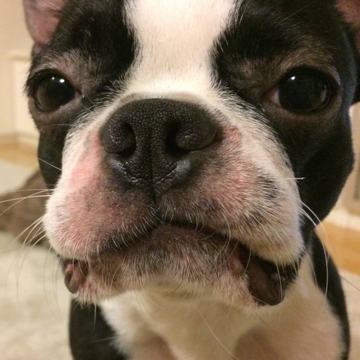 04b3c0a4 d138 458e 87d1 a4b52762db2a