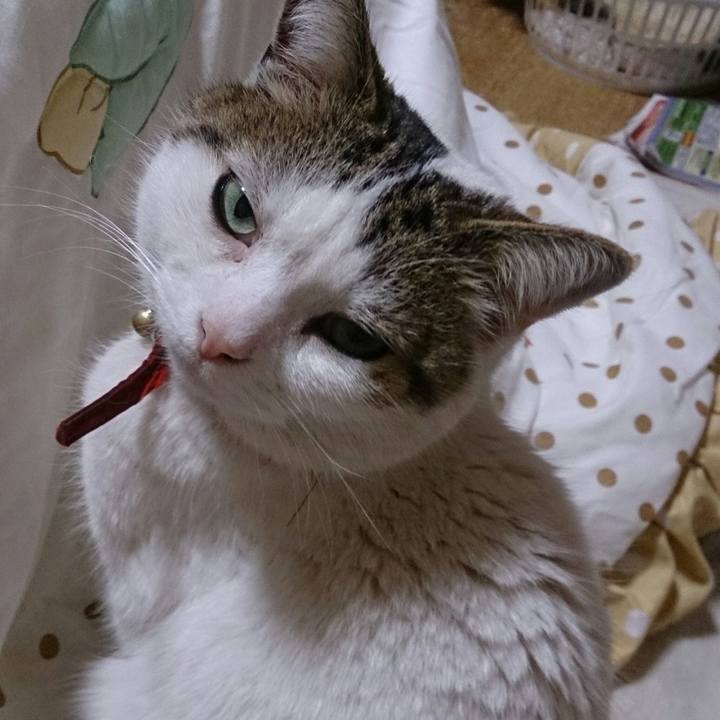 04b40568 3e8c 493f 9f6b 26a32eb9365e