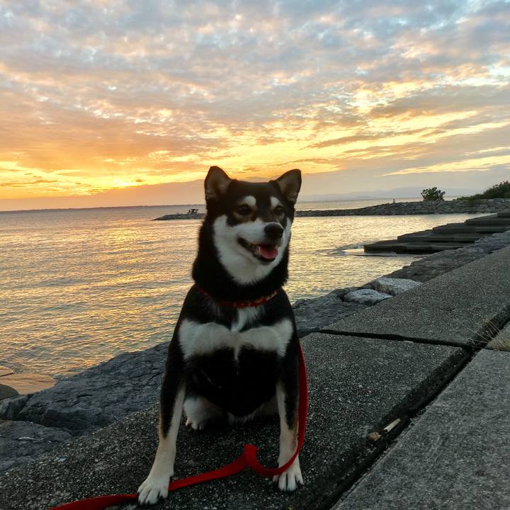 04b418b8 e651 42b2 810d 43dfd9ad1653