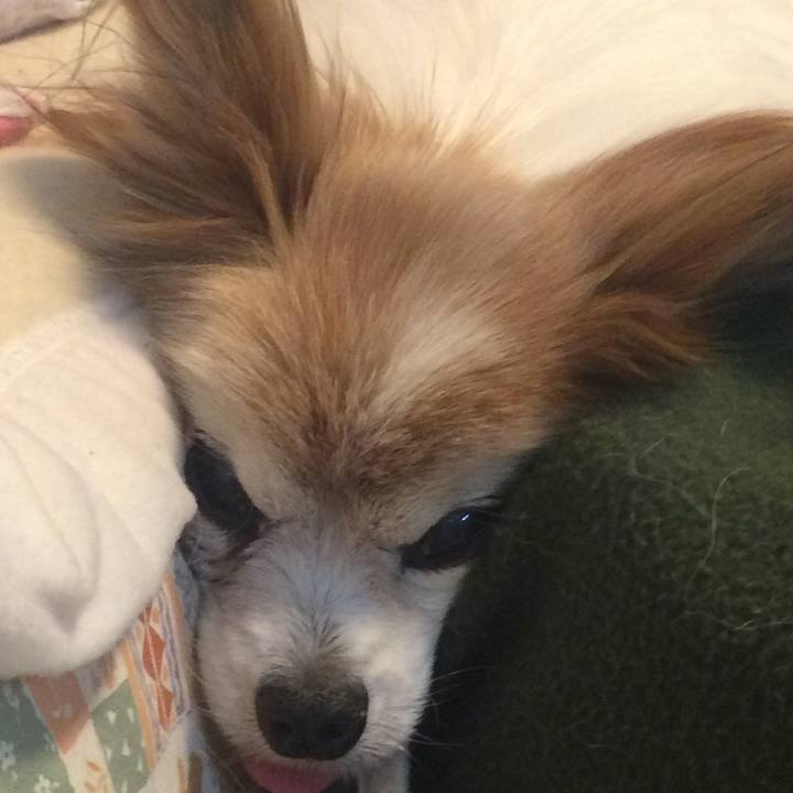 04b44bbe d50f 4981 901d 6d066f7cf639