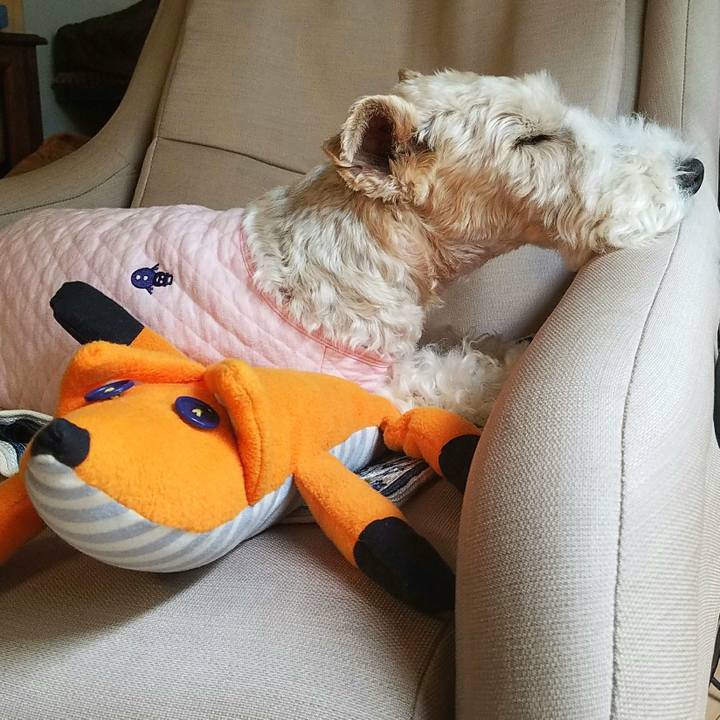 04b46bd0 d391 40df b774 e600e73d24d7