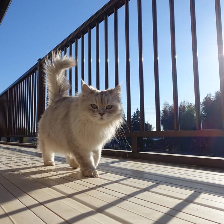 04b499d3 5335 48d6 9b64 b0ae47369d59