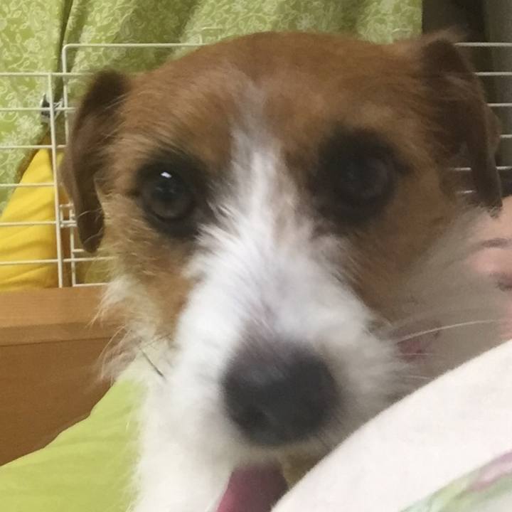 04b51a79 b03d 436c 95e3 b3dbf6203701