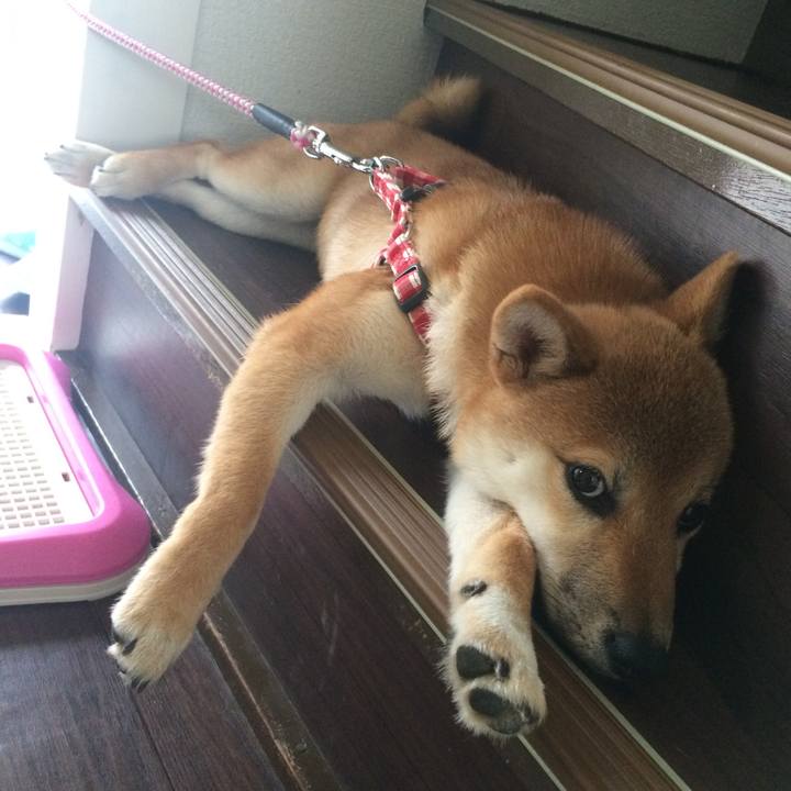 04b53e64 f9f7 4c6b 8cbc 266e5ae506de