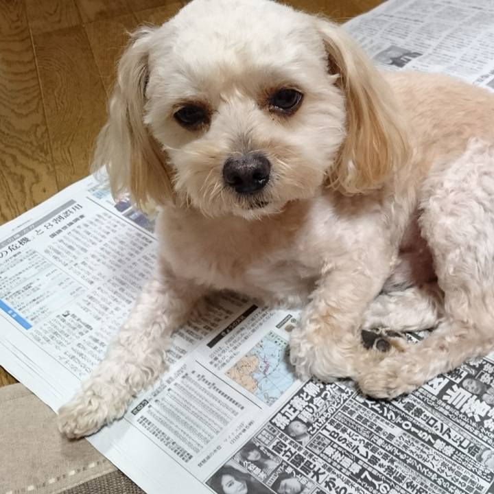 04b5400b 9921 43c7 8310 cb65c9ee4b4e