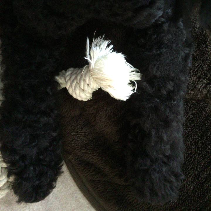 04b60ad2 6a42 4a89 b3ad 6199d7f73805