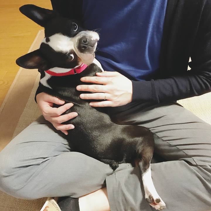 04b61142 8a2c 4c11 94e4 fcb9b24a0fb7