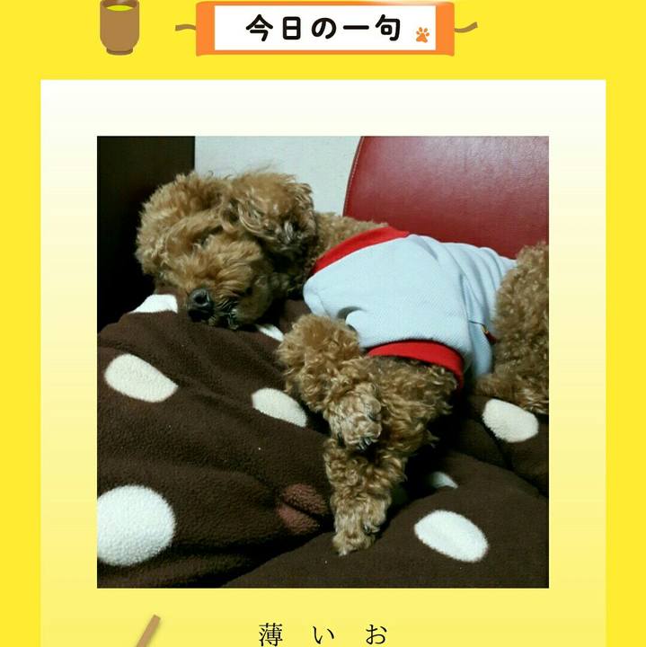 04b61d43 1ab3 4b1c 9e7e c14b49d56dec