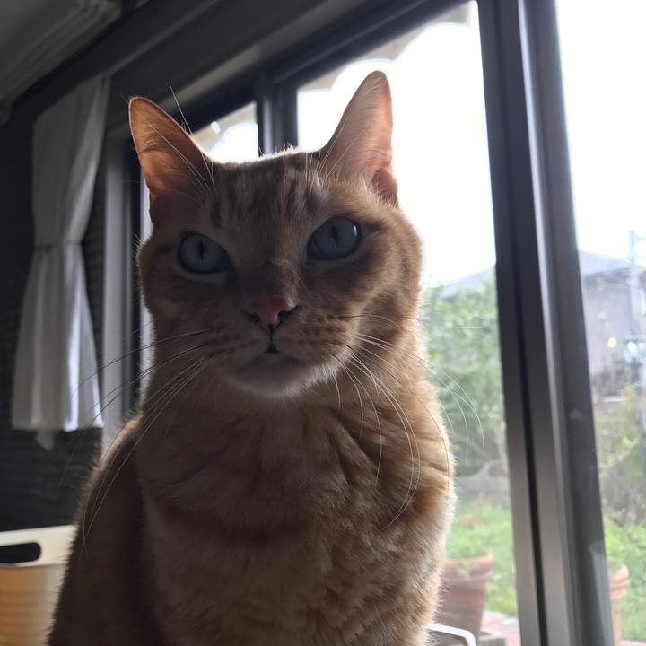 04b6ed93 8deb 49c2 9ded 8050303513ad