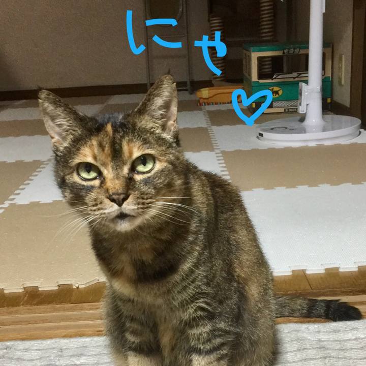 04b70e38 c2ef 4e73 b009 0cbfc6fa90ff