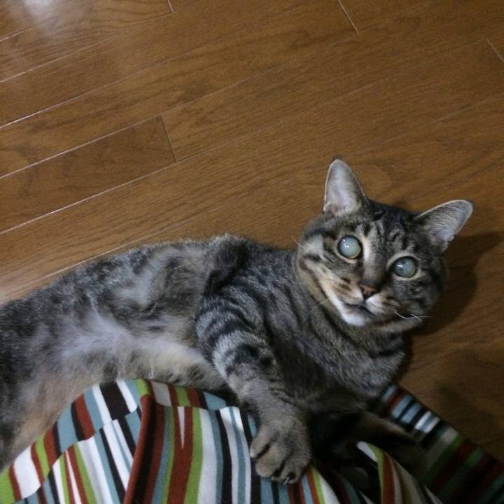 04b75393 cba8 49d9 84ed fdb1b29c17b9