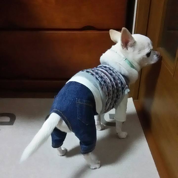 04b79cdb a342 4ffe 9803 06ef684e651a