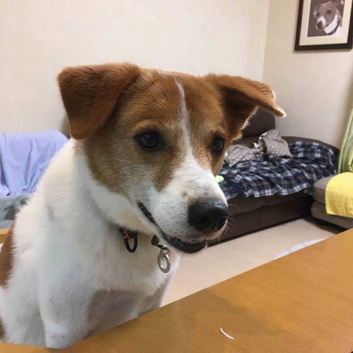 04b87cb7 9016 4a88 b204 bb8faed58912