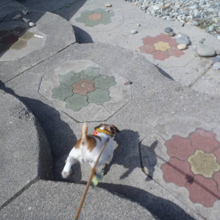 04b8bd02 2deb 415e 82e9 9897ce1f07cc