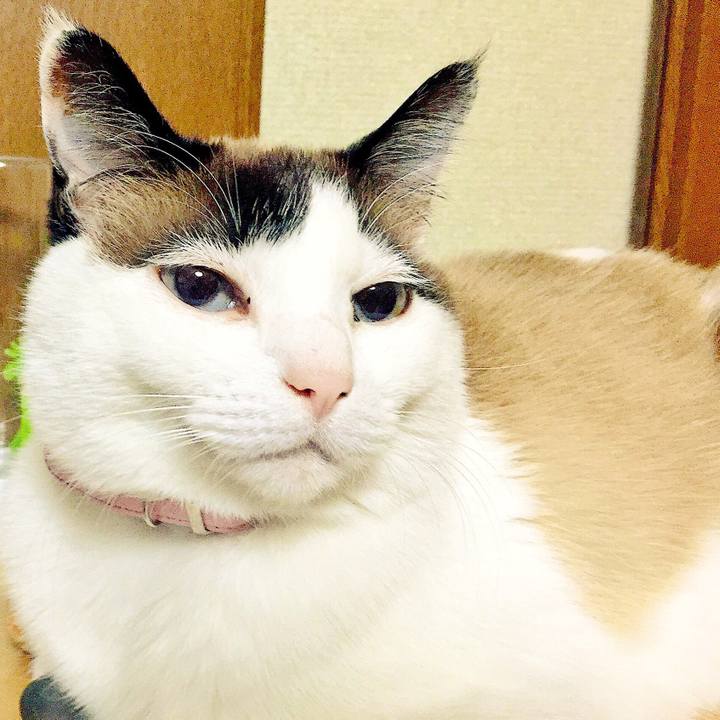 04b93159 aec7 4410 b1fb 4c6d6aeed15c