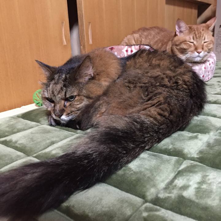 04b9385f 37da 49f5 affe acbe7be834ff