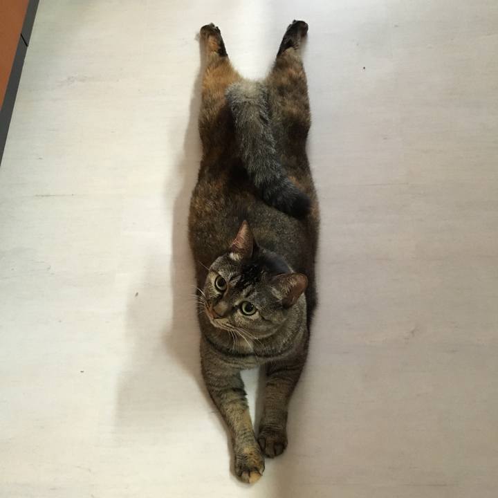 04b9cc76 b001 42c4 a8b7 f01c121e2ac7