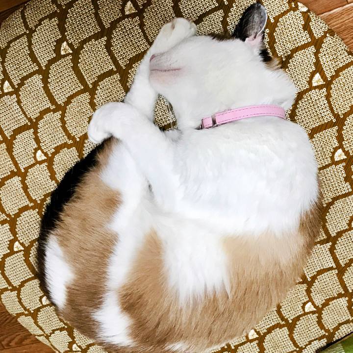 04b9fc79 43a4 4112 83af 603d1fc4081d