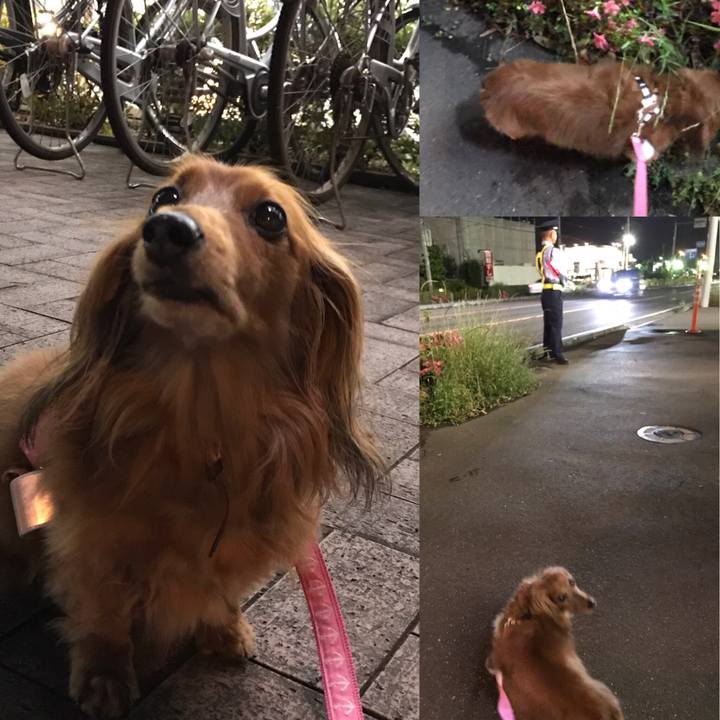 04ba5cd1 f039 43fb 9a0f 231ac9229715