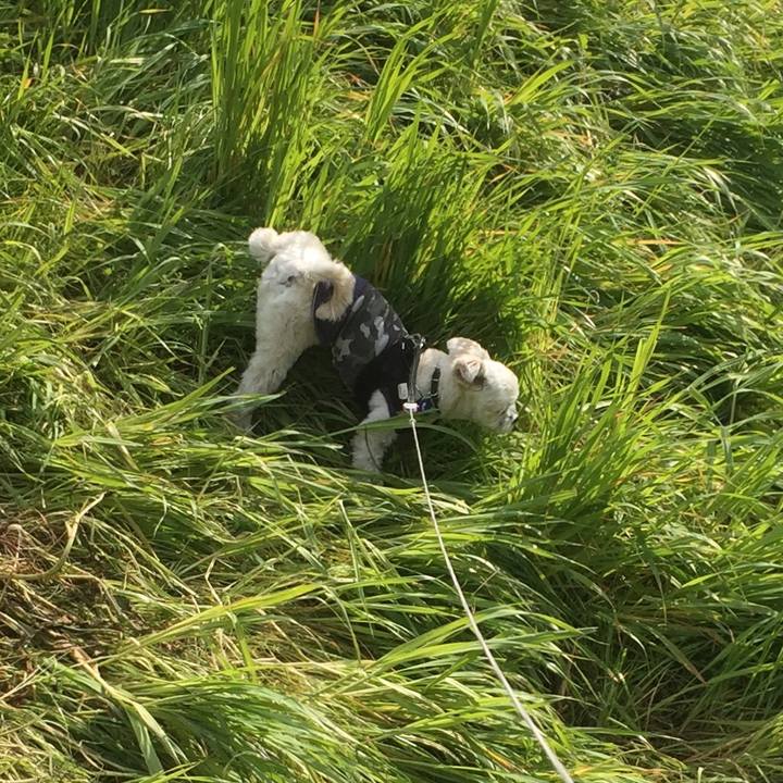 04ba82bd b2cf 45ec a6dd f1e5bfbae500