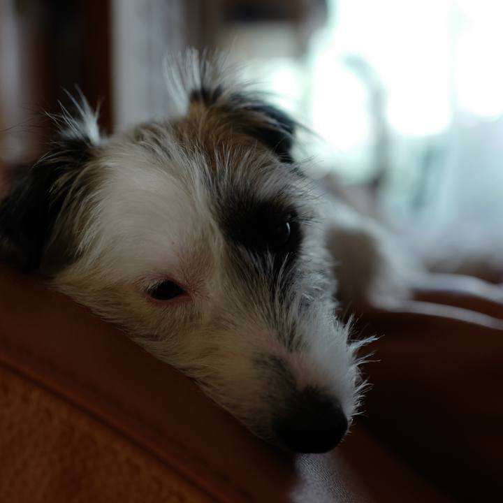 04bb27f9 6db5 4298 9308 417793486cc7