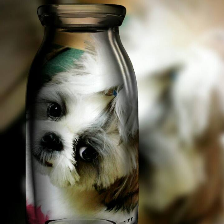 04bb37a6 5908 45ca b4a3 aeaf9f762b01