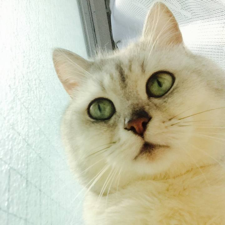 04bb88e2 01f6 4046 a9f0 62d480843aac