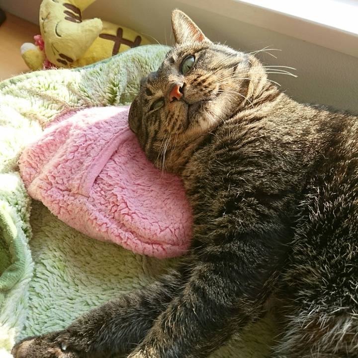 04bbfdbe 6e5a 4bc9 88df cf560fea4ede