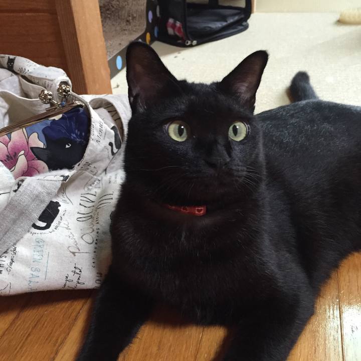 04bc47f0 db05 475d a2bd 7f16c904e43f