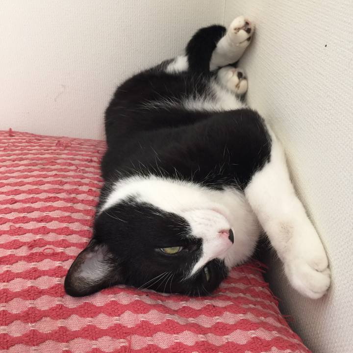 04bc96a3 757f 49e4 b940 27f5e89bcd80