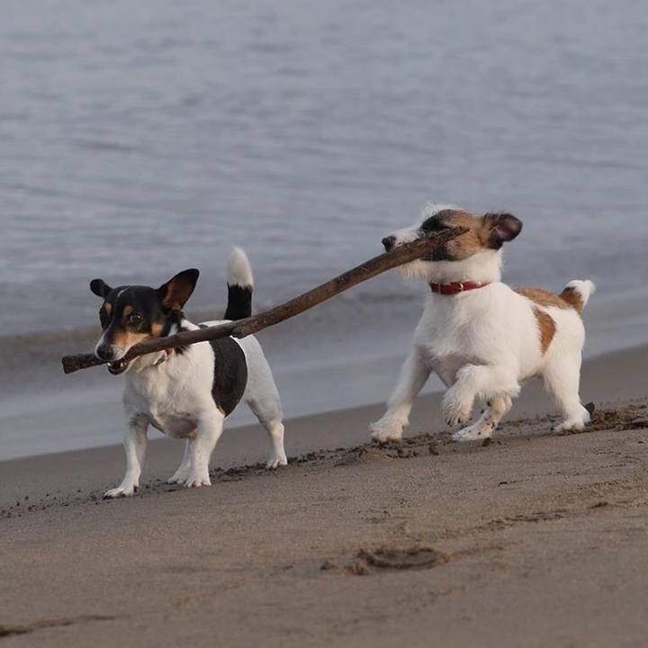 04bce93a 5800 4834 a102 fa8d5c3cbef4