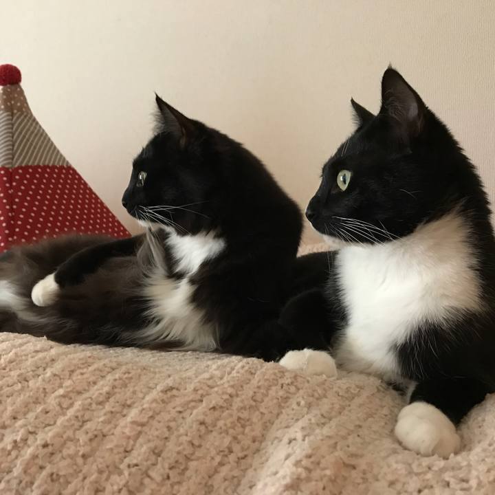 04bcf95e d960 4e13 bd3c 3830d4d8b77b