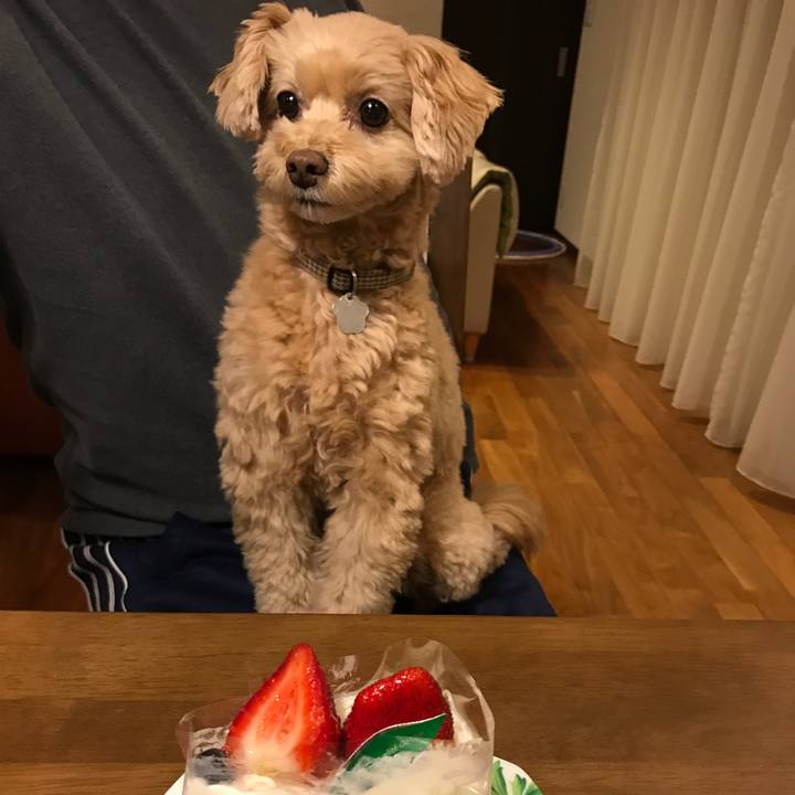 04be4ed2 99c0 4d94 a286 fcafbf6eb1c6