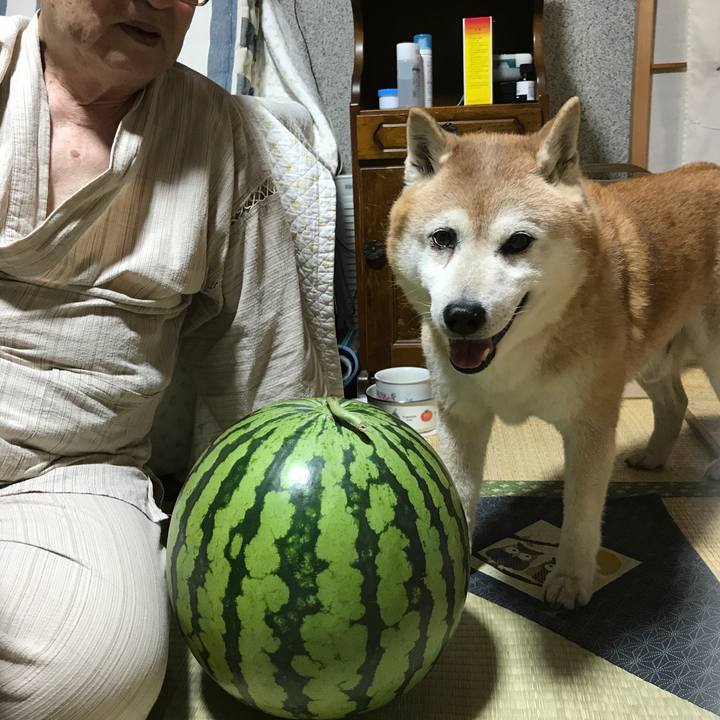 04bf21fe 3425 4ebe b3c9 8634578d42f2