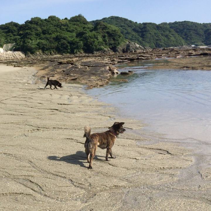 04bfd06f aab6 4a16 b5ab f44eab40d889