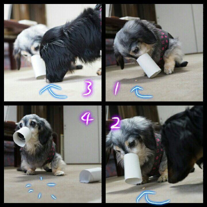 04c05970 3bc2 4157 93fb a55463c18cad