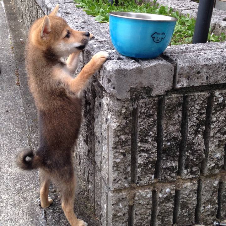 04c0b2c7 f376 419c 8a75 0db8a5f1d9e2