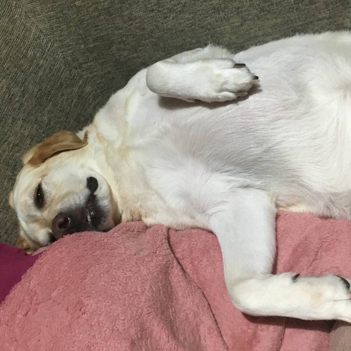 04c151bb 028f 44f6 8946 d06883b11248