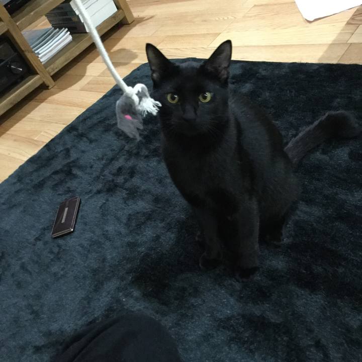 04c1a9c9 ed56 4cc3 9433 2971b6c741b8