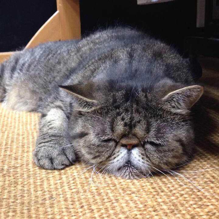 04c2b862 4ab3 4321 9769 b1b78af3d301