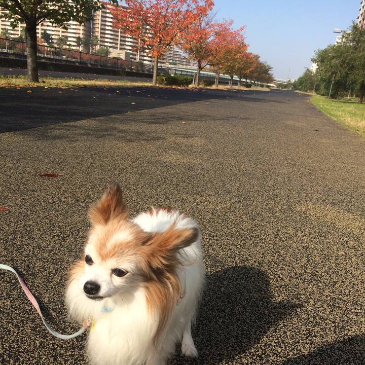 04c2c2eb 149d 456a 887a 1e5c8fac2841